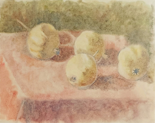 Melograni Gialli